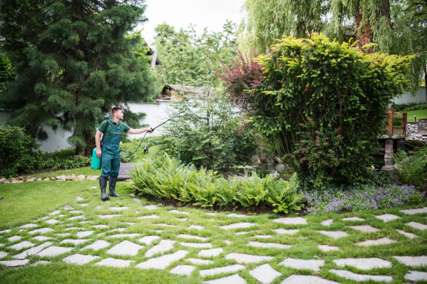 Best Affordable Pest Control Services  in Francisville, KY